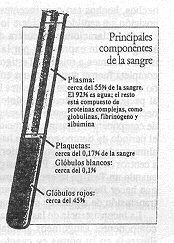 Principales componentes de la sangre